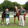 Falco erfolgreich am Züchtertag anlässlich des CHIO in Aachen