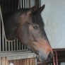 Leonie