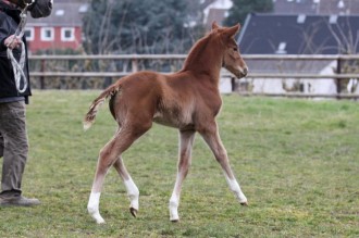 01_K800_Beverley12.3.16_22455